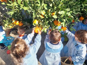 Actividades al aire libre